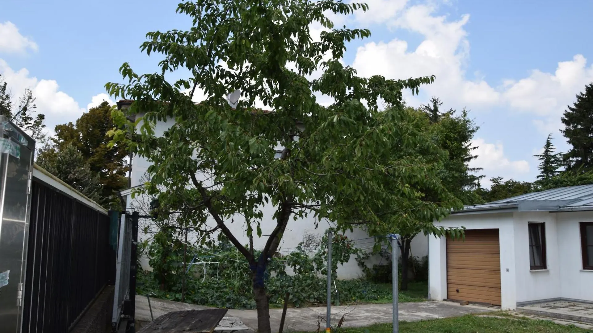 Central-Vintage Villa With Free Parking And 5Min Walk To Metro Vienna
